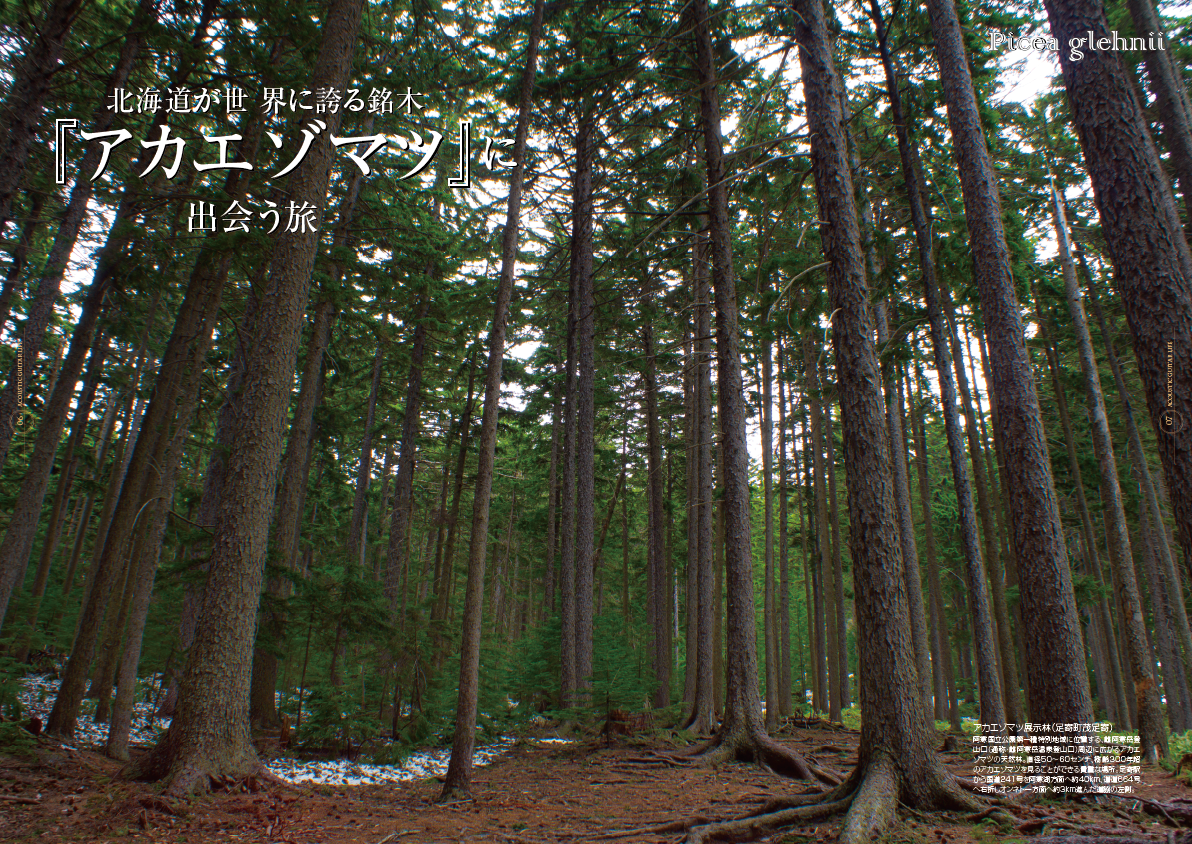 アコースティックギタ−ライフVol.2誌面見本